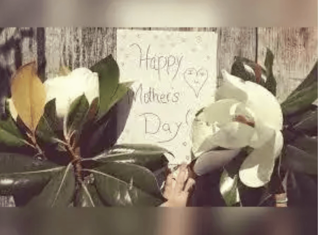 Mother's day Gift
